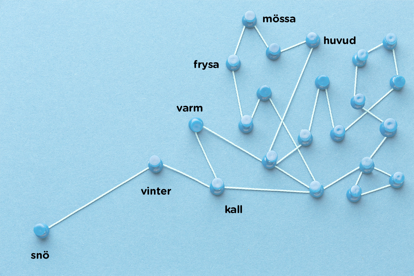 Om motsatsord och effektiv ordförrådsinlärning